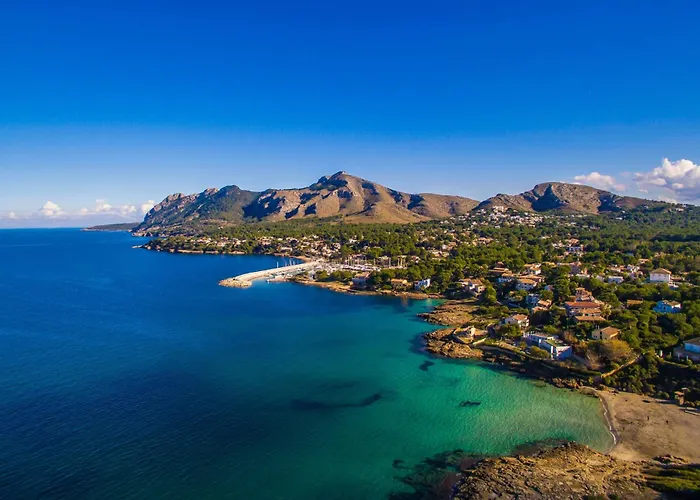 Gospodarstwo wiejskie Ideal Mallorca - Son Duri